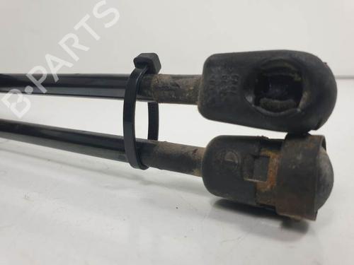 Ammortizzatore cofano anteriore JAGUAR S-TYPE II (X200) 3.0 V6 | BP13953930C139 