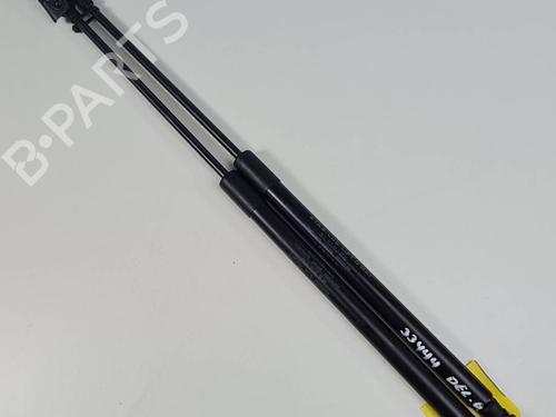 hood-lift-support-lexus-rx-_l2_-2015-34518107 main image