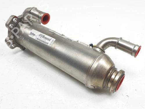 Egr VOLVO S80 II (124) D5 | BP29964826M69 