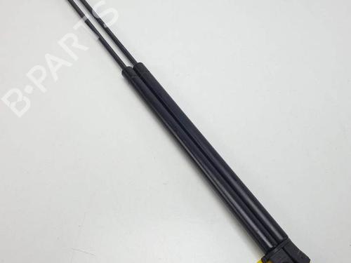 Used Tailgate lift support SKODA OCTAVIA II (1Z3) 1.9 TDI (105 hp) 25140301