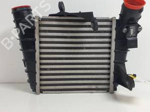 Used Intercooler SKODA ROOMSTER (5J7) 1.4 TDI (80 hp) 30450386