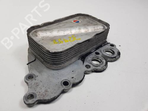 Used Oil radiator Oil radiator MERCEDES-BENZ B-CLASS Sports Tourer (W245) [2005-2011] 36429252 36429252