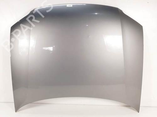 Used Hood VW PASSAT B5.5 (3B3) 1.9 TDI (130 hp) 25841308