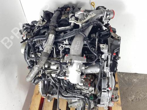 Engine NISSAN MURANO II (Z51) 2.5 dCi 4x4 14939562 | B-Parts