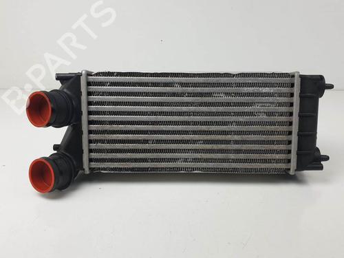 Used Intercooler Intercooler PEUGEOT 3008 I MPV (0U_) 1.6 HDi (112 hp) 24933751 24933751