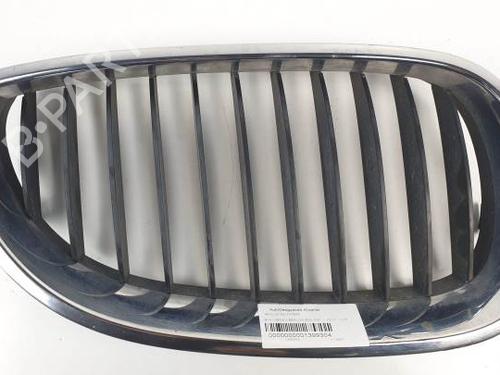 Used Grille BMW 5 (E60) 525 i (192 hp) 20691192