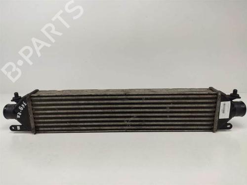 Intercooler FIAT BRAVO II (198_) 1.6 D Multijet (198AXH1B) | BP9717189M30 