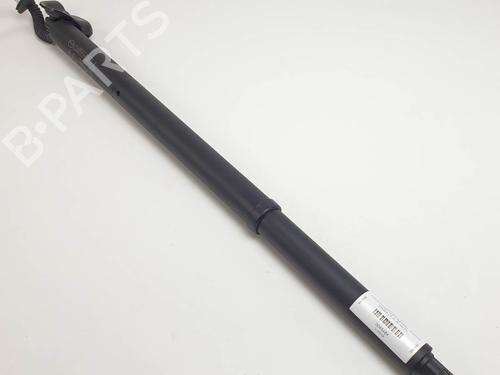 Used Tailgate lift support Tailgate lift support MAZDA CX-30 (DM) SKYACTIV-G M Hybrid (122 hp) 24916204 24916204