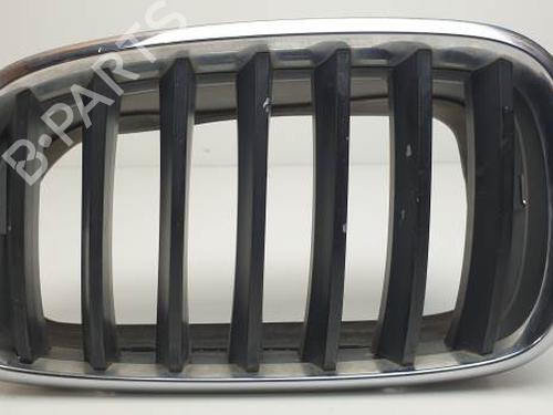 Used Grille BMW X5 (E70) 3.0 d (235 hp) 29245948