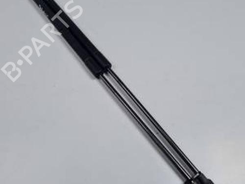 Used Tailgate lift support SEAT IBIZA IV (6J5, 6P1) 1.6 TDI (105 hp) 30313421