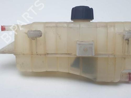 Used Expansion tank RENAULT CLIO III (BR0/1, CR0/1) 2.0 16V (BR0C, BR0K, CR0C, CR0K) (139 hp) 24930540
