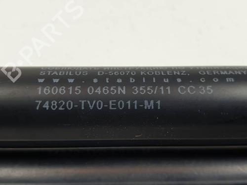 Tailgate lift support HONDA CIVIC IX (FK) 2.2 i-DTEC (FK3) | BP28122802C138 