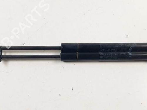 Tailgate lift support FIAT PANDA VAN (312_, 519_) 1.2 LPG (312CXA1A) 00518416340