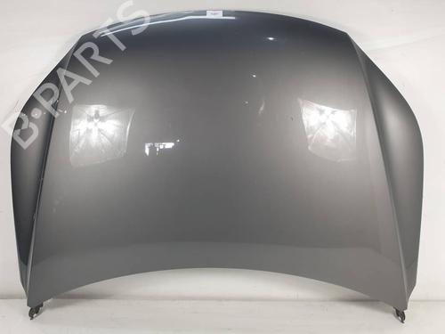 Used Hood VW TIGUAN (5N_) 2.0 TFSI 4motion (170 hp) 29763265