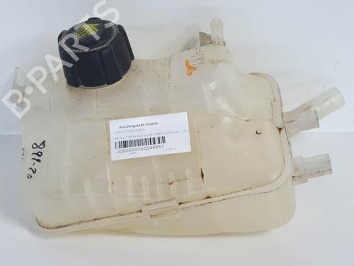 Ekpansionstank Ekpansionstank RENAULT MEGANE CC (EZ0/1_) 1.4 TCe (EZ0F, EZ1V) (131 hp) 6891879 6891879