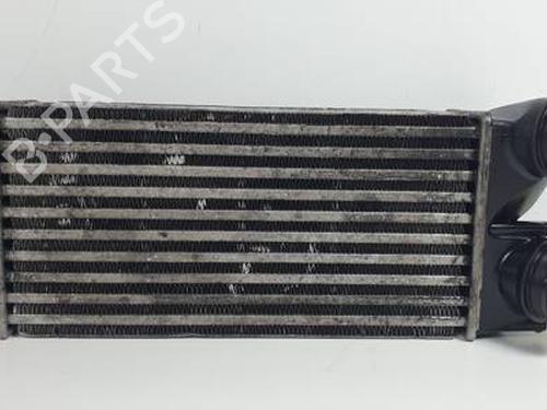 Used Intercooler PEUGEOT 3008 I MPV (0U_) 1.6 HDi (109 hp) 30450464