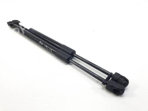 Used Hood lift support BMW X5 (F15, F85) xDrive 40 d (313 hp) 27888633