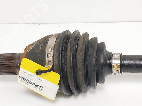  - Image 6