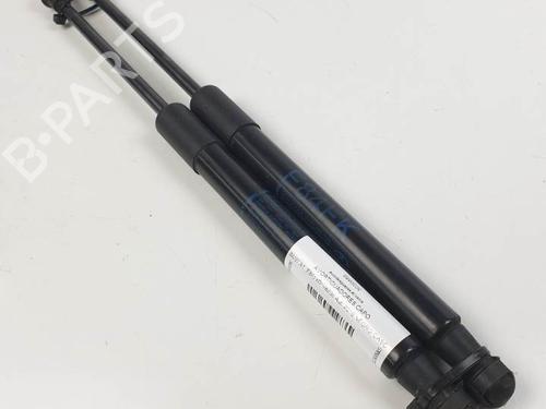 Vérin de capot BMW X1 (E84) xDrive 23 d (204 hp) 25752289