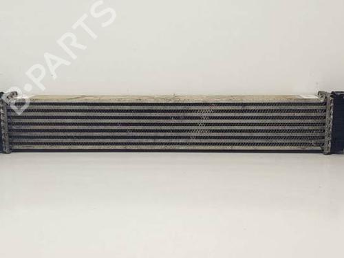 Used Intercooler MERCEDES-BENZ A-CLASS (W169) A 160 CDI (169.006, 169.306) (82 hp) 19641250