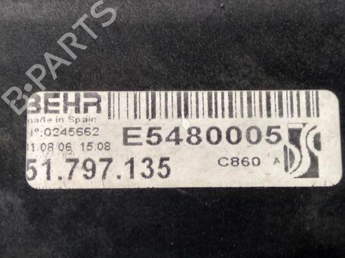 Radiator fan FIAT GRANDE PUNTO (199_)  | BP8217045M35 