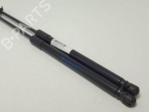 Gassdemper Bakluke CITROËN C3 I (FC_, FN_) 1.1 i (60 hp) 25137674