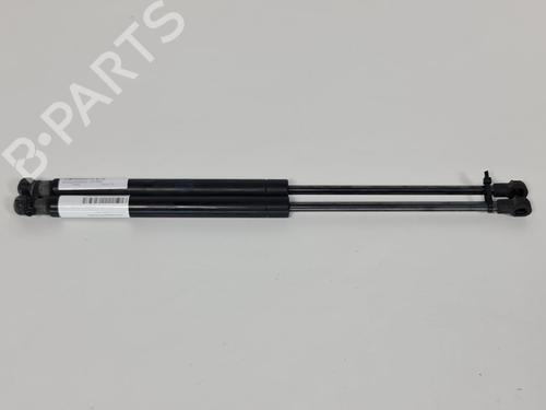 Used Hood lift support LAND ROVER RANGE ROVER SPORT I (L320) 3.6 D 4x4 (272 hp) 13952955