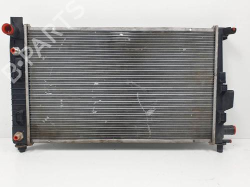 Used Water radiator Water radiator MERCEDES-BENZ A-CLASS (W168) A 160 (168.033, 168.133) (102 hp) 20670993 20670993