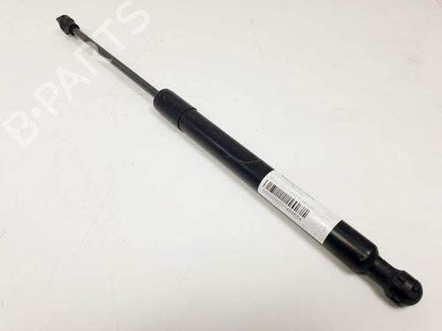 Used Hood lift support RENAULT CLIO IV (BH_) 1.5 dCi 75 (75 hp) 25121446