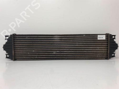 Intercooler NISSAN INTERSTAR Van (X70) | BP10108584M30 - Image 3