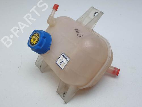 Ekpansionstank Ekpansionstank FIAT DOBLO Bus (263_) 1.3 D Multijet (263AXU1A, 263AYB1A) (95 hp) 24914984 24914984
