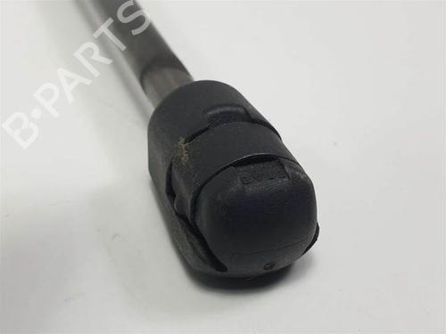 Hood lift support RENAULT MEGANE III Hatchback (BZ0/1_, B3_) 1.5 dCi (BZ09, BZ0D, BZ1W, BZ29, BZ14) | BP22274325C139 
