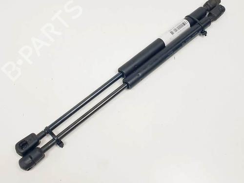 Used Hood lift support NISSAN MURANO I (Z50) 3.5 (234 hp) 19446796