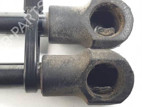 Tailgate lift support CHEVROLET MATIZ (M200, M250) 0.8 | BP24934538C138