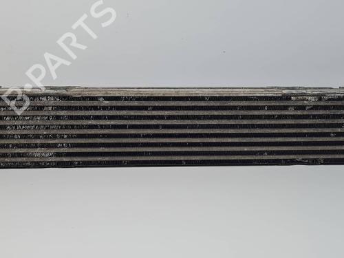 Used Intercooler Intercooler RENAULT SCÉNIC III (JZ0/1_) 2.0 dCi (JZ0Y, JZ26) (150 hp) 30450666 30450666