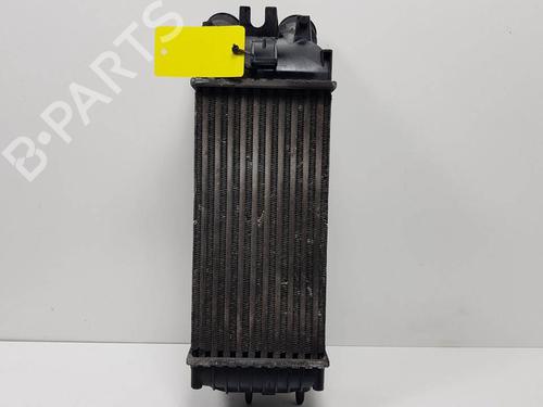 Used Intercooler Intercooler CITROËN BERLINGO / BERLINGO FIRST MPV (MF_, GJK_, GFK_) 1.6 HDI 75 (MF9HW, GJ9HWC, GF9HWC, GN9HWC) (75 hp) 16495454 16495454