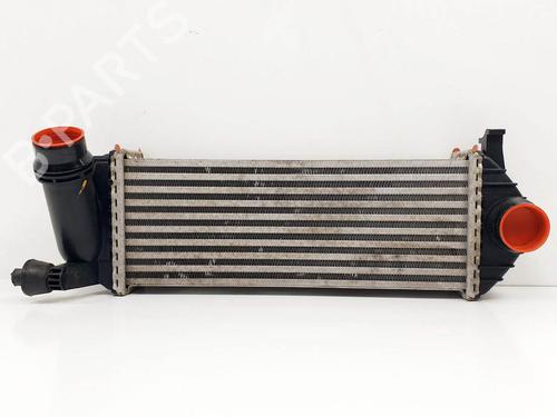 Used Intercooler Intercooler MERCEDES-BENZ CITAN Box Body/MPV (W415) 109 CDI (415.601, 415.603, 415.605) (90 hp) 25119480 25119480