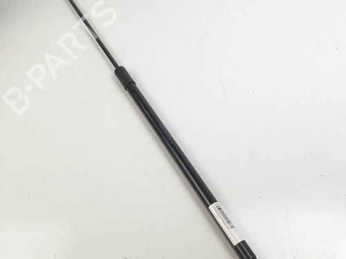 hood-lift-support-audi-q3-sportback-f3n-2019-24340280 main image