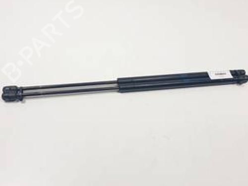 Used Tailgate lift support LAND ROVER RANGE ROVER SPORT I (L320) 2.7 D 4x4 (190 hp) 30959168