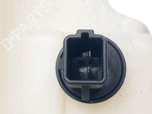 Windscreen washer tank JAGUAR S-TYPE II (X200) 3.0 V6 | BP16576361C113 
