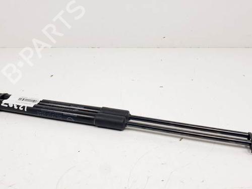 Used Tailgate lift support SSANGYONG XLV SUV e-XGi 160 (128 hp) 15548328