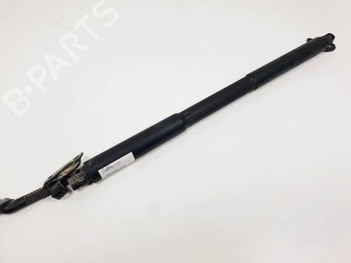 Used Tailgate lift support Tailgate lift support BMW 3 Touring (F31) 330 d (258 hp) 25145569 25145569