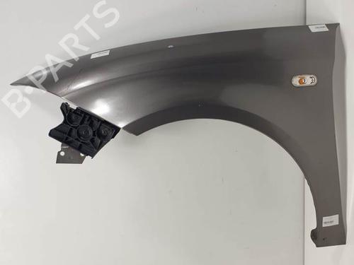 Used Left front fenders SEAT TOLEDO III (5P2) 1.6 (102 hp) 25116535