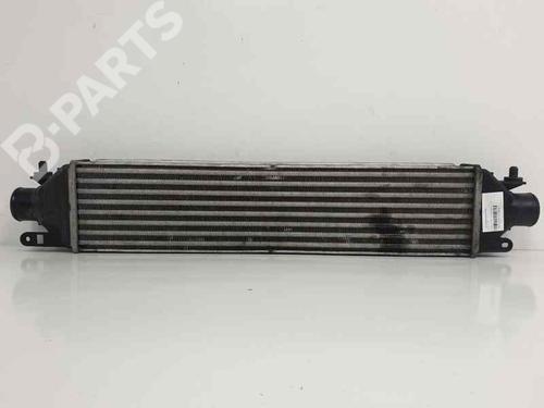 Intercooler FIAT BRAVO II (198_) 1.9 D Multijet (198AXB1A) | BP6852258M30 