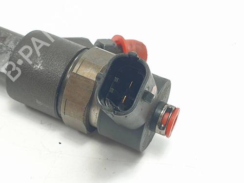 Injector VOLVO S80 II (124) D5 | BP29696818M100 