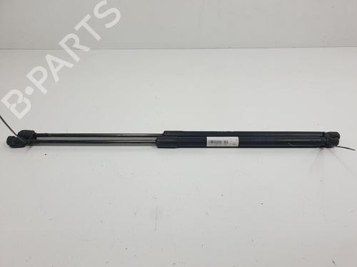 Used Tailgate lift support SKODA OCTAVIA II (1Z3) 1.9 TDI (105 hp) 13958985