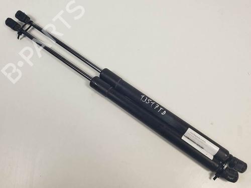 Used Tailgate lift support Tailgate lift support AUDI Q7 (4LB) 3.6 FSI quattro (280 hp) 19178849 19178849