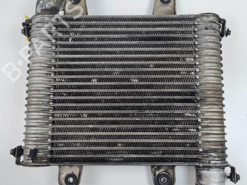 Intercooler KIA CARNIVAL II (GQ) 2.9 TDi (126 hp) 27978059
