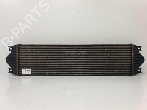 Used Intercooler Intercooler NISSAN INTERSTAR Van (X70) [2002-2026] 10108584 10108584
