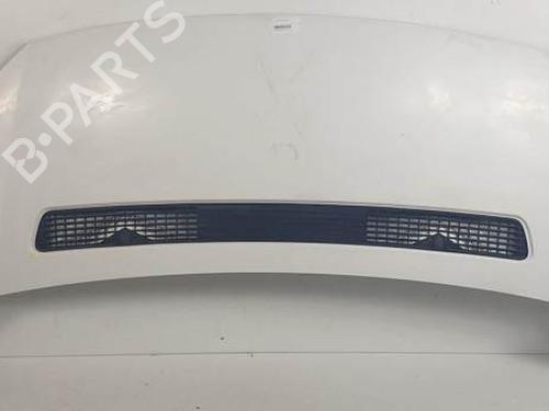 Hood FIAT SCUDO Bus (270_, 272_) 2.0 D Multijet | 4 PUERTAS